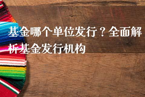 基金哪个单位发行？全面解析基金发行机构_https://m.apzhendong.com_财务分析_第1张