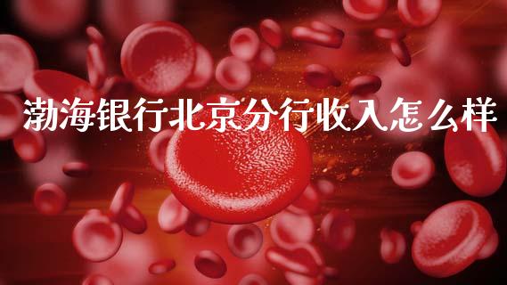 渤海银行北京分行收入怎么样_https://m.apzhendong.com_全球经济_第1张
