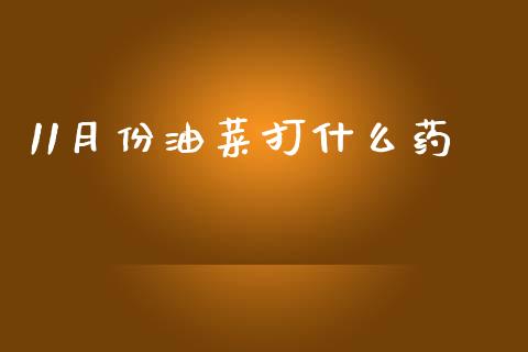 11月份油菜打什么药_https://m.apzhendong.com_财经资讯_第1张