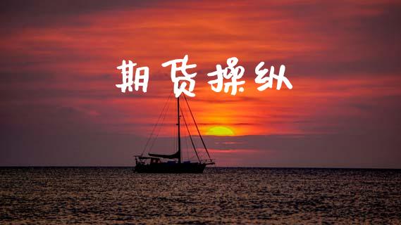 期货操纵_https://m.apzhendong.com_财经资讯_第1张