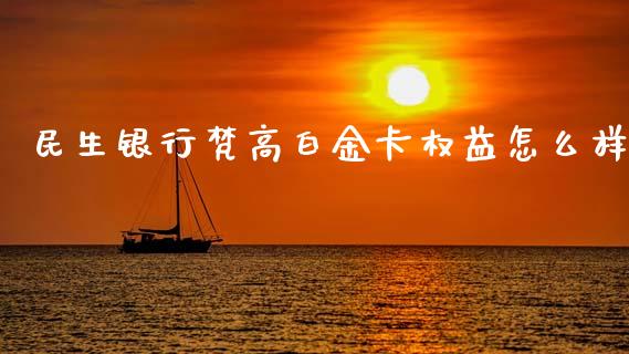 民生银行梵高白金卡权益怎么样_https://m.apzhendong.com_财经资讯_第1张