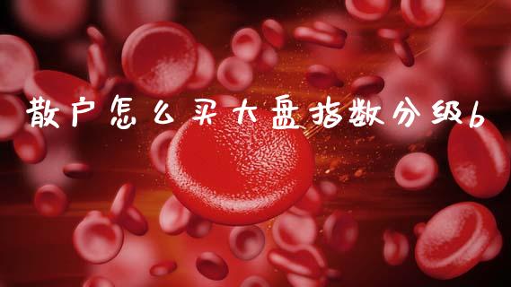 散户怎么买大盘指数分级b_https://m.apzhendong.com_期货行情_第1张