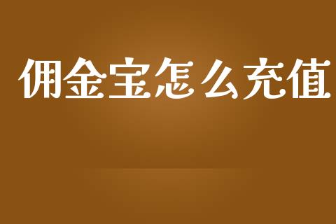 佣金宝怎么充值_https://m.apzhendong.com_财务分析_第1张