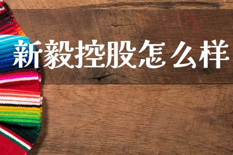 新毅控股怎么样_https://m.apzhendong.com_期货行情_第1张