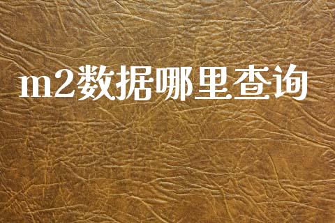 m2数据哪里查询_https://m.apzhendong.com_全球经济_第1张
