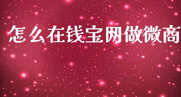 怎么在钱宝网做微商_https://m.apzhendong.com_全球经济_第1张