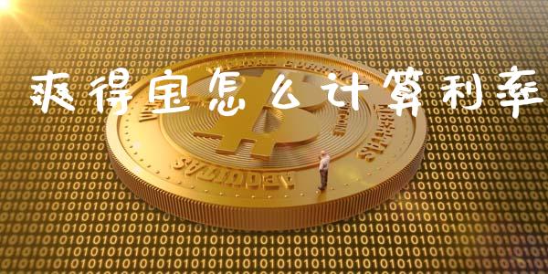 爽得宝怎么计算利率_https://m.apzhendong.com_财务分析_第1张