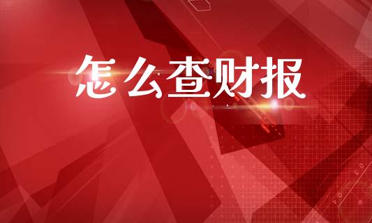 怎么查财报_https://m.apzhendong.com_财经资讯_第1张