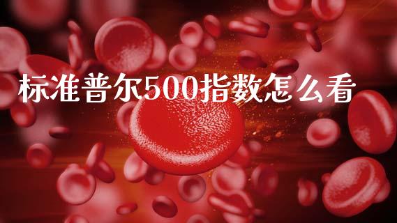 标准普尔500指数怎么看_https://m.apzhendong.com_全球经济_第1张