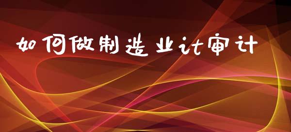 如何做制造业it审计_https://m.apzhendong.com_财务分析_第1张