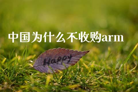 中国为什么不收购arm_https://m.apzhendong.com_财务分析_第1张