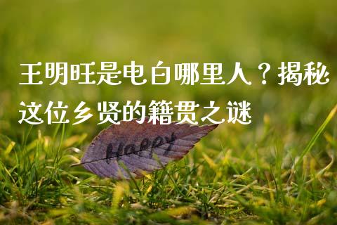 王明旺是电白哪里人？揭秘这位乡贤的籍贯之谜_https://m.apzhendong.com_全球经济_第1张