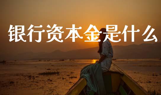 银行资本金是什么_https://m.apzhendong.com_财务分析_第1张