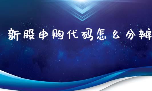 新股申购代码怎么分辨_https://m.apzhendong.com_财务分析_第1张