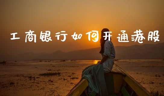 工商银行如何开通港股_https://m.apzhendong.com_财务分析_第1张