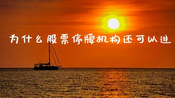 为什么股票停牌机构还可以进_https://m.apzhendong.com_财务分析_第1张