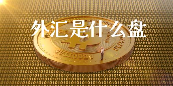 外汇是什么盘_https://m.apzhendong.com_财务分析_第1张