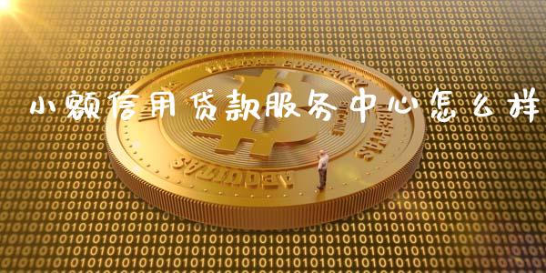小额信用贷款服务中心怎么样_https://m.apzhendong.com_财务分析_第1张