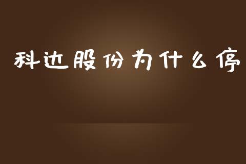 科达股份为什么停_https://m.apzhendong.com_期货行情_第1张