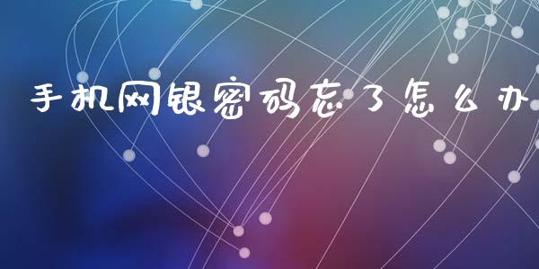 手机网银密码忘了怎么办_https://m.apzhendong.com_期货行情_第1张