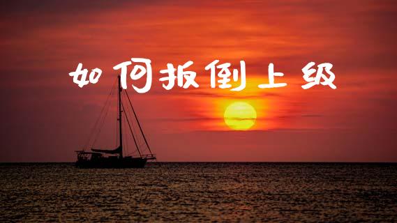 如何扳倒上级_https://m.apzhendong.com_财务分析_第1张