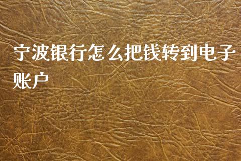 宁波银行怎么把钱转到电子账户_https://m.apzhendong.com_财务分析_第1张