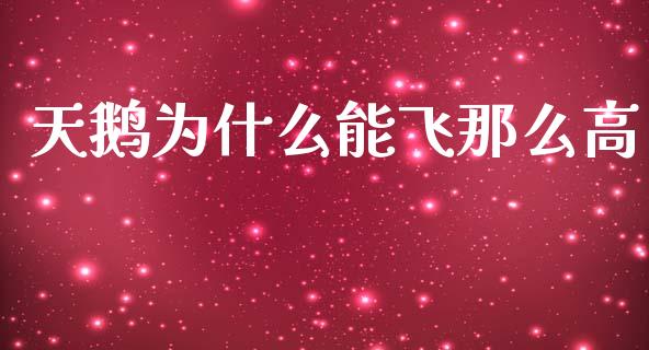 天鹅为什么能飞那么高_https://m.apzhendong.com_全球经济_第1张