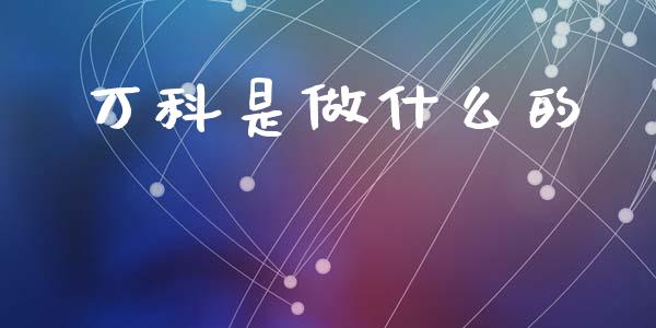 万科是做什么的_https://m.apzhendong.com_财经资讯_第1张