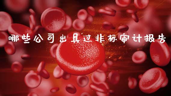 哪些公司出具过非标审计报告_https://m.apzhendong.com_期货行情_第1张