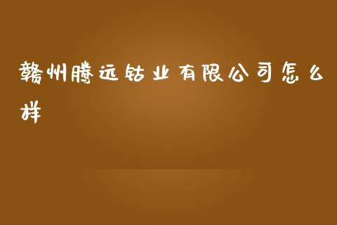 赣州腾远钴业有限公司怎么样_https://m.apzhendong.com_财经资讯_第1张