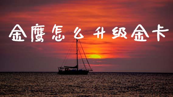 金鹰怎么升级金卡_https://m.apzhendong.com_财经资讯_第1张