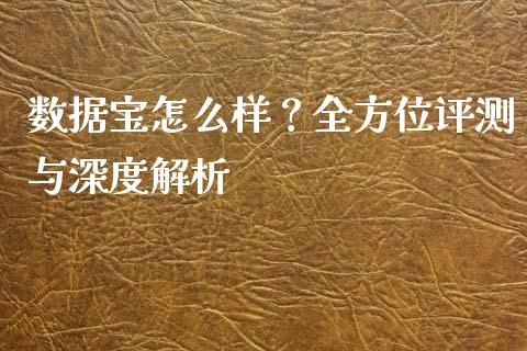 数据宝怎么样？全方位评测与深度解析_https://m.apzhendong.com_全球经济_第1张