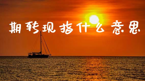 期转现指什么意思_https://m.apzhendong.com_财务分析_第1张