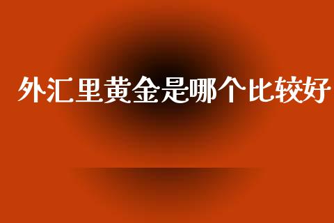 外汇里黄金是哪个比较好_https://m.apzhendong.com_财务分析_第1张