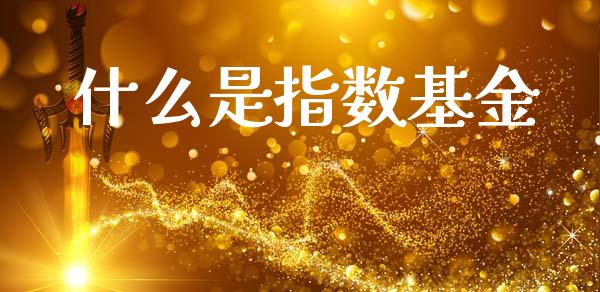 什么是指数基金_https://m.apzhendong.com_全球经济_第1张