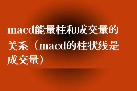 macd能量柱和成交量的关系（macd的柱状线是成交量）_https://m.apzhendong.com_全球经济_第1张