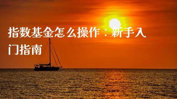 指数基金怎么操作：新手入门指南_https://m.apzhendong.com_全球经济_第1张