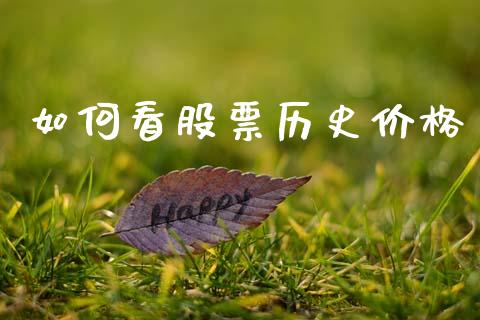 如何看股票历史价格_https://m.apzhendong.com_财经资讯_第1张