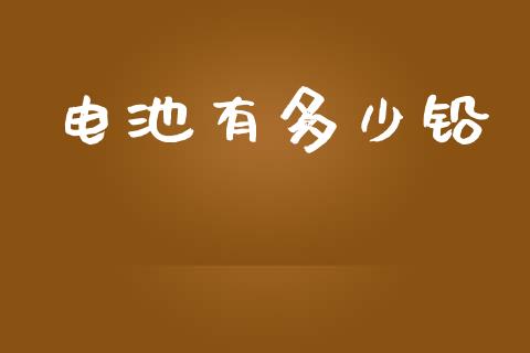 电池有多少铅_https://m.apzhendong.com_全球经济_第1张