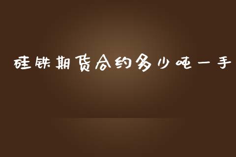 硅铁期货合约多少吨一手_https://m.apzhendong.com_财务分析_第1张