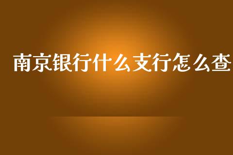 南京银行什么支行怎么查_https://m.apzhendong.com_财务分析_第1张