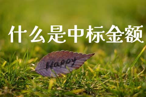 什么是中标金额_https://m.apzhendong.com_财务分析_第1张