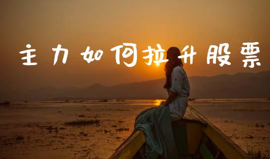 主力如何拉升股票_https://m.apzhendong.com_全球经济_第1张
