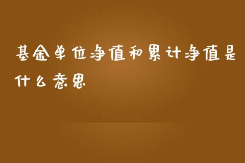 基金单位净值和累计净值是什么意思_https://m.apzhendong.com_财经资讯_第1张