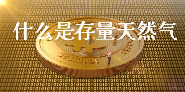 什么是存量天然气_https://m.apzhendong.com_全球经济_第1张