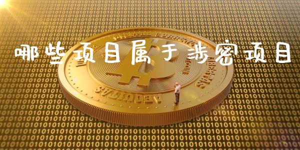 哪些项目属于涉密项目_https://m.apzhendong.com_全球经济_第1张