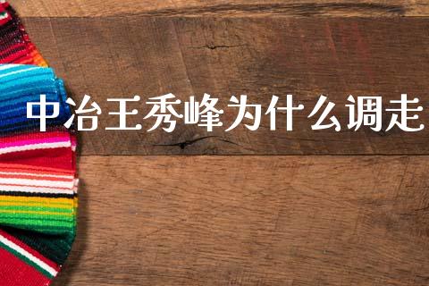 中冶王秀峰为什么调走_https://m.apzhendong.com_全球经济_第1张