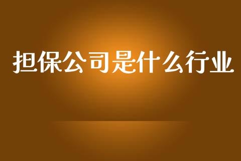 担保公司是什么行业_https://m.apzhendong.com_财务分析_第1张
