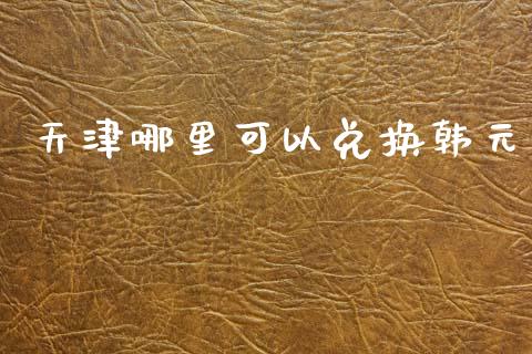 天津哪里可以兑换韩元_https://m.apzhendong.com_全球经济_第1张