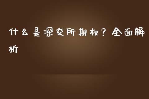 什么是深交所期权？全面解析_https://m.apzhendong.com_财务分析_第1张
